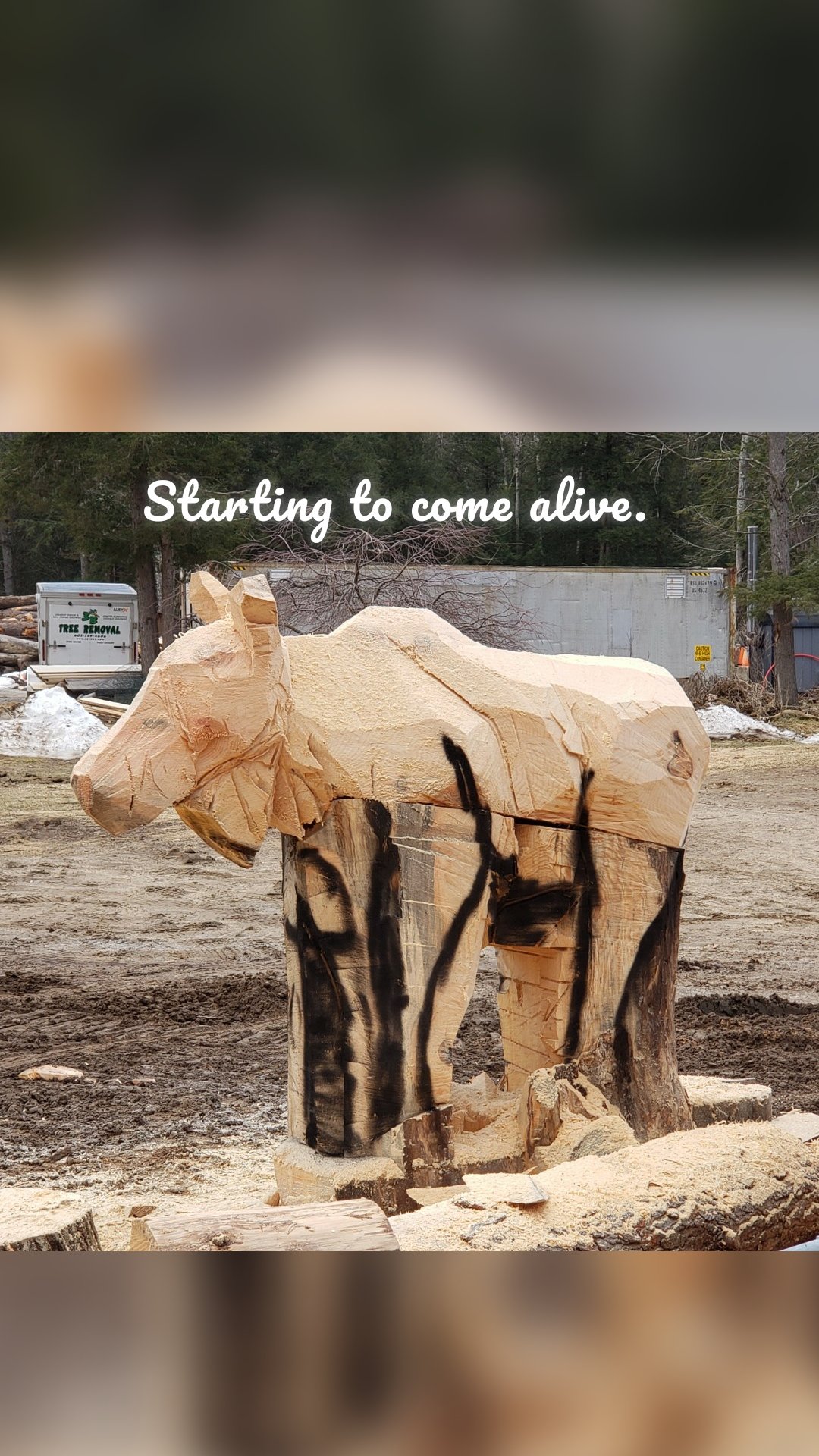 Starting to come alive.